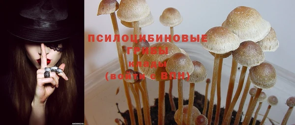 хмурый Каменка