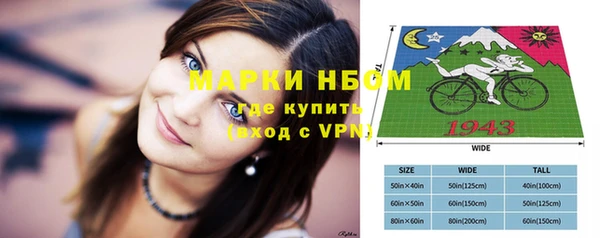 хмурый Каменка