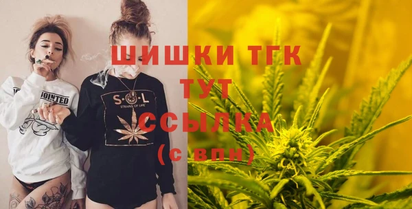 хмурый Каменка
